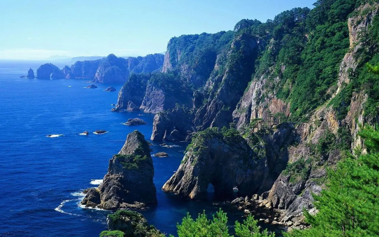 高性能全自动